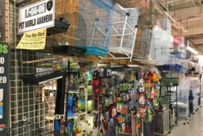 Pet World