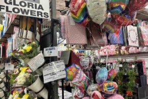 Gloria’s Flower Looking to give your love one beautiful flowers or arrangements? Vinny’s Plants & Flowers for all occasion at a discounted price. Weddings, Fifteens, Prom, etc. Also, services in gift wrapping.