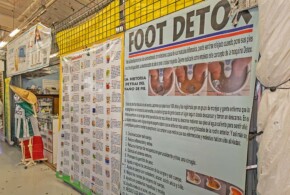 Foot Detox Foot Detox offers services for Headaches, Back Aches, Injuries, Stress Relieve, and other relaxation methods. Aside from the medical services, packaging service is offered to numerous destinations including Mexico, Guatemala & Columbia.